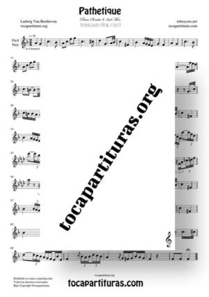 Pathetique de Beethoven Partitura de Flauta Dulce (Tonalidad Fácil)