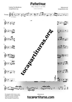 Pathetique de Beethoven Partitura de Trompa (French Horn)