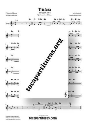 Tristeza Op 10 Nº 3 F. Chopin Partitura con Notas en letra Flautas Violín Piano Oboe…